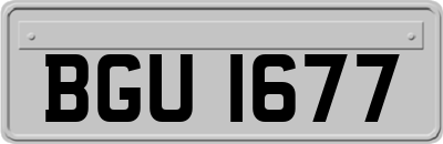 BGU1677