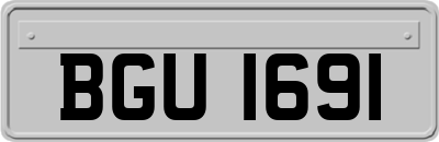 BGU1691