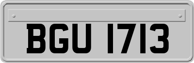 BGU1713