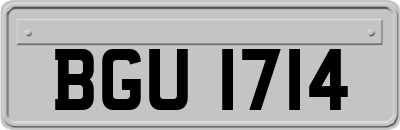 BGU1714