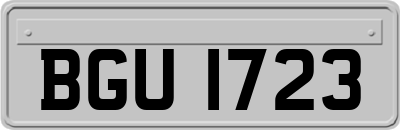 BGU1723