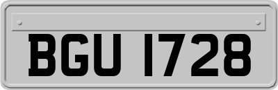 BGU1728