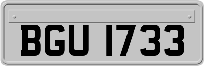BGU1733