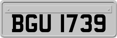BGU1739