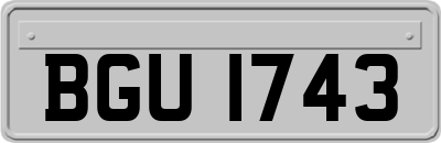 BGU1743