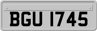 BGU1745