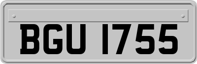 BGU1755