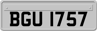 BGU1757
