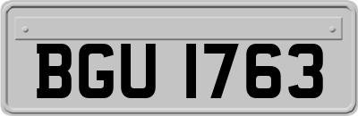 BGU1763