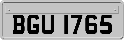BGU1765