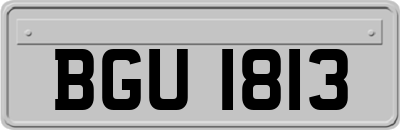 BGU1813