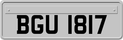 BGU1817