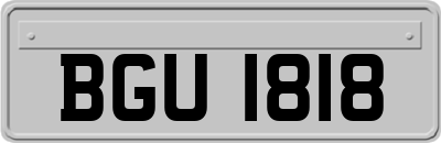 BGU1818