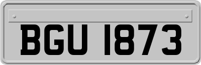 BGU1873
