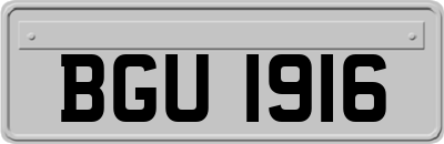 BGU1916