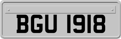 BGU1918