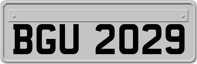 BGU2029