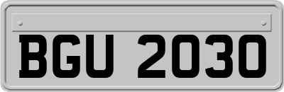 BGU2030