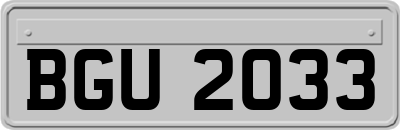 BGU2033
