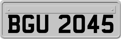 BGU2045