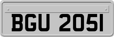 BGU2051