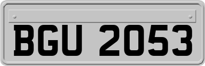 BGU2053
