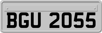 BGU2055