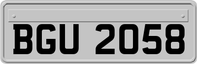 BGU2058