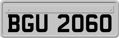 BGU2060