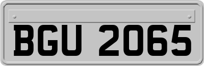 BGU2065