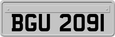 BGU2091