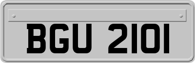 BGU2101