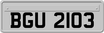 BGU2103