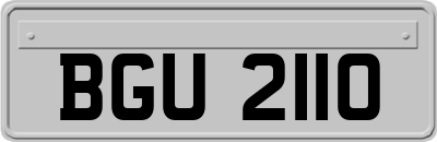 BGU2110