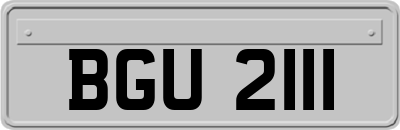 BGU2111