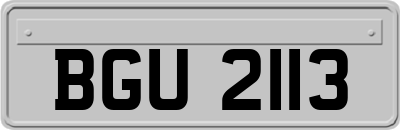 BGU2113