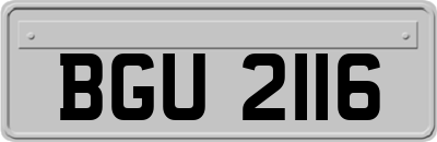 BGU2116