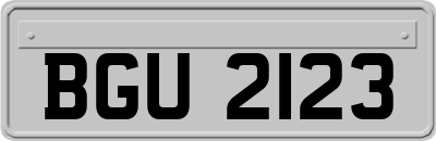 BGU2123