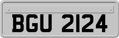 BGU2124
