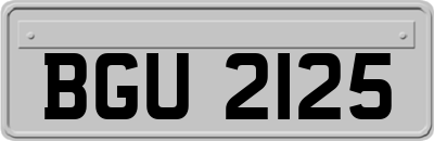 BGU2125