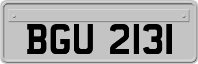 BGU2131