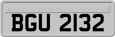 BGU2132