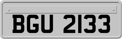 BGU2133