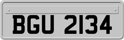 BGU2134