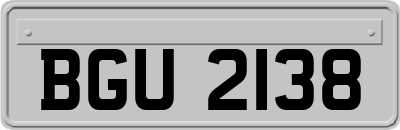 BGU2138