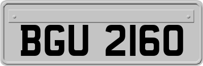 BGU2160
