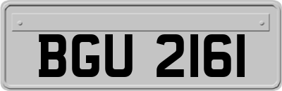 BGU2161