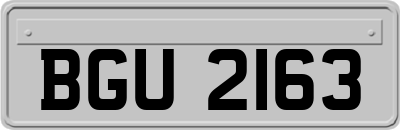 BGU2163