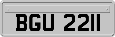 BGU2211