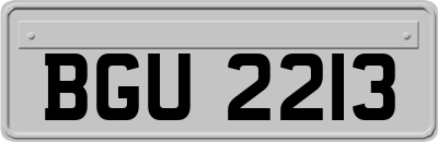BGU2213